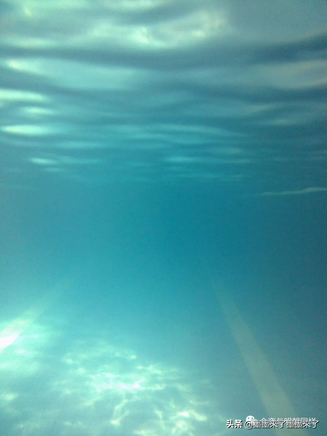 加拿大人慢节奏,加拿大人的日常生活