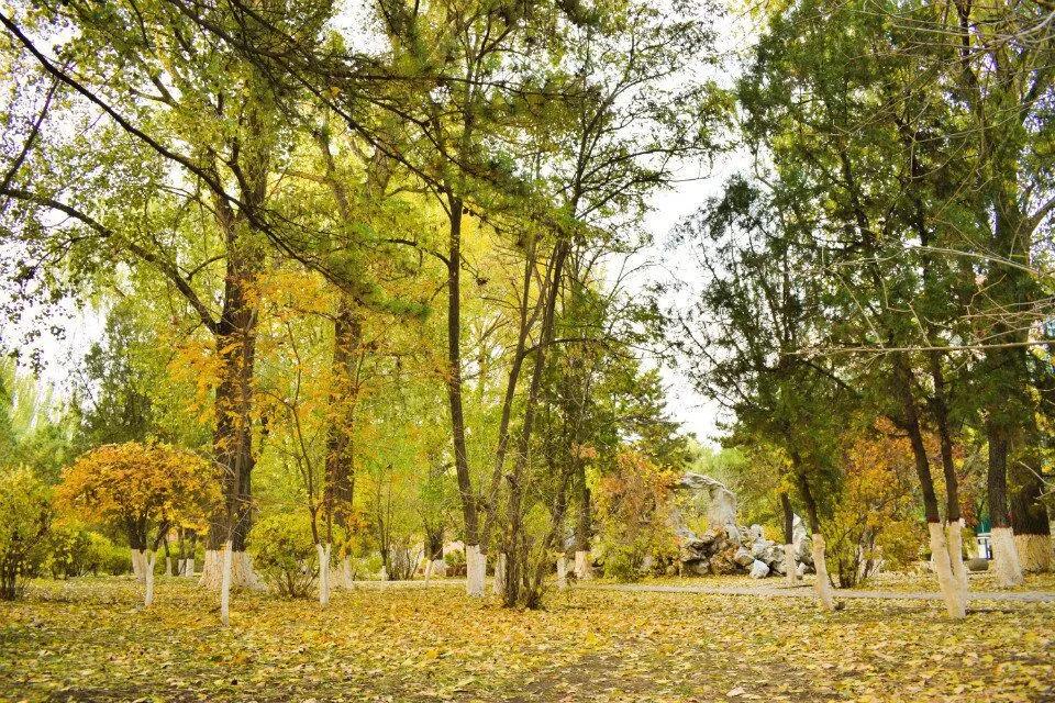 辽宁工程技术大学辽宁省分数线,辽宁工程技术大学在辽宁省排名