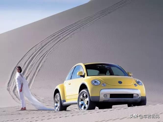 甲壳虫:让我再看你一眼,但!你一定会回来