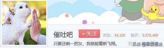 在减肥圈里有一群“兔子”,她们不喜欢吃草,只喜欢自残式催吐