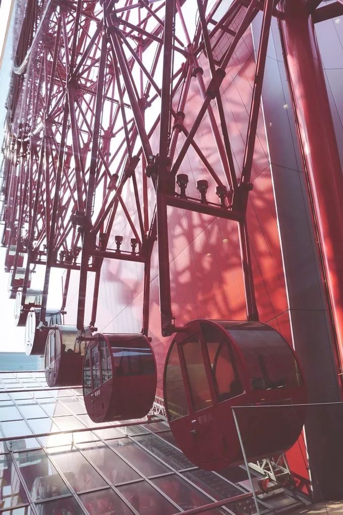 日本的樱花又开了哦,日本樱花又开了是什么梗