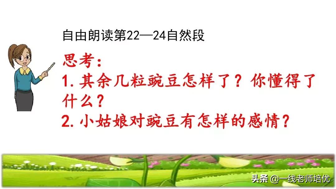 四年级上册豆荚里的五粒豆笔记,一个豆荚里的五粒豆四年级课文
