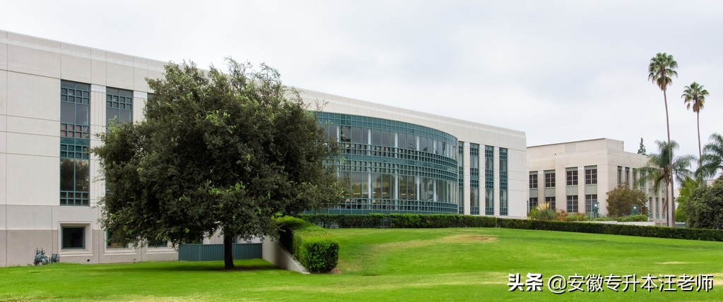 皖西学院2019年专升本招生简章,皖西学院2020年专升本招生简章