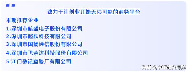 中亚硅谷大冶产业园,中亚硅谷中国园区