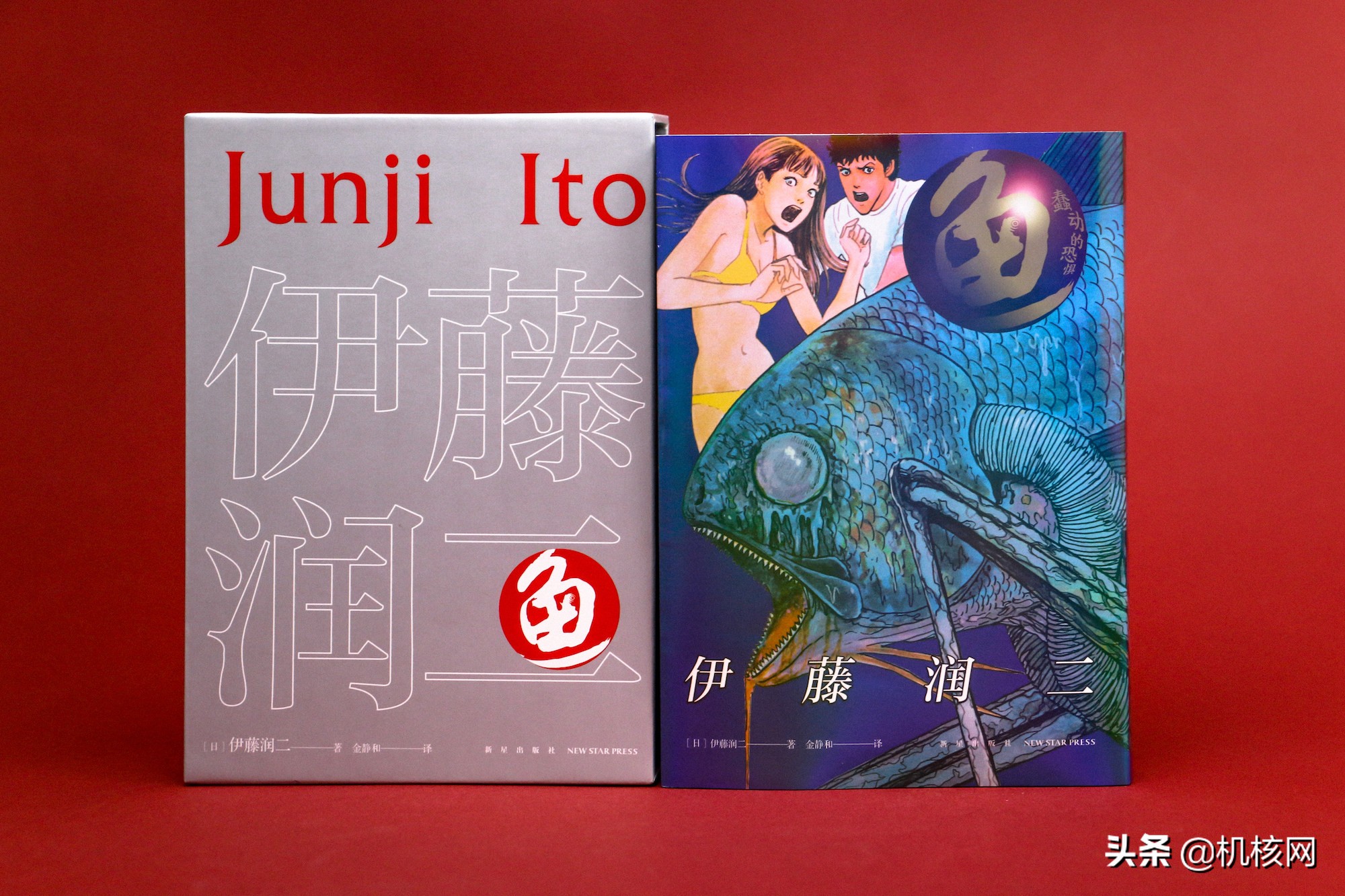 伊藤润二毛骨悚然的鱼去哪里看,伊藤润二鱼深层解析