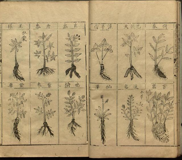 李时珍与本草纲目ppt课件,神农本草经正版李时珍书籍