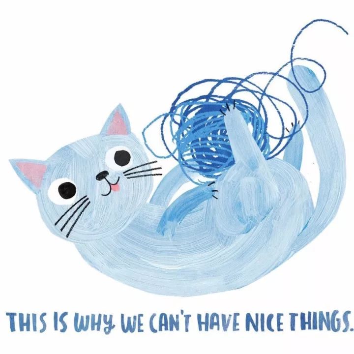 姑娘1天画1只猫坚持了100天 (坚持画猫100天的姑娘太有才了)