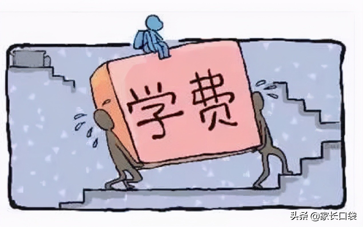 公办和民办小学的区别是什么,上海读民办和公办小学的差别