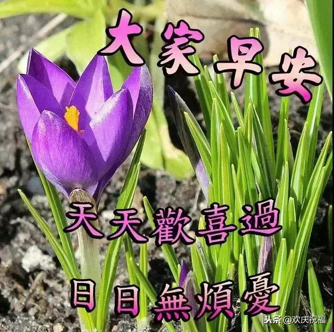 11.15,我把祝福送给你，幸福你每一秒，早晨好！