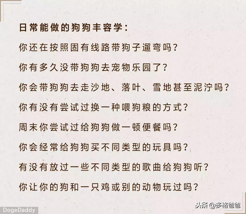 你知道狗狗是什么性格吗,你知道狗狗一些行为有什么含义吗