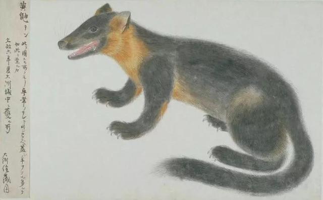 中元诡事大揭秘,中元诡事