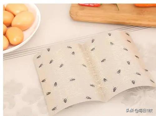 家里有苍蝇怎样能让它走开,家里有苍蝇怎么让苍蝇消失