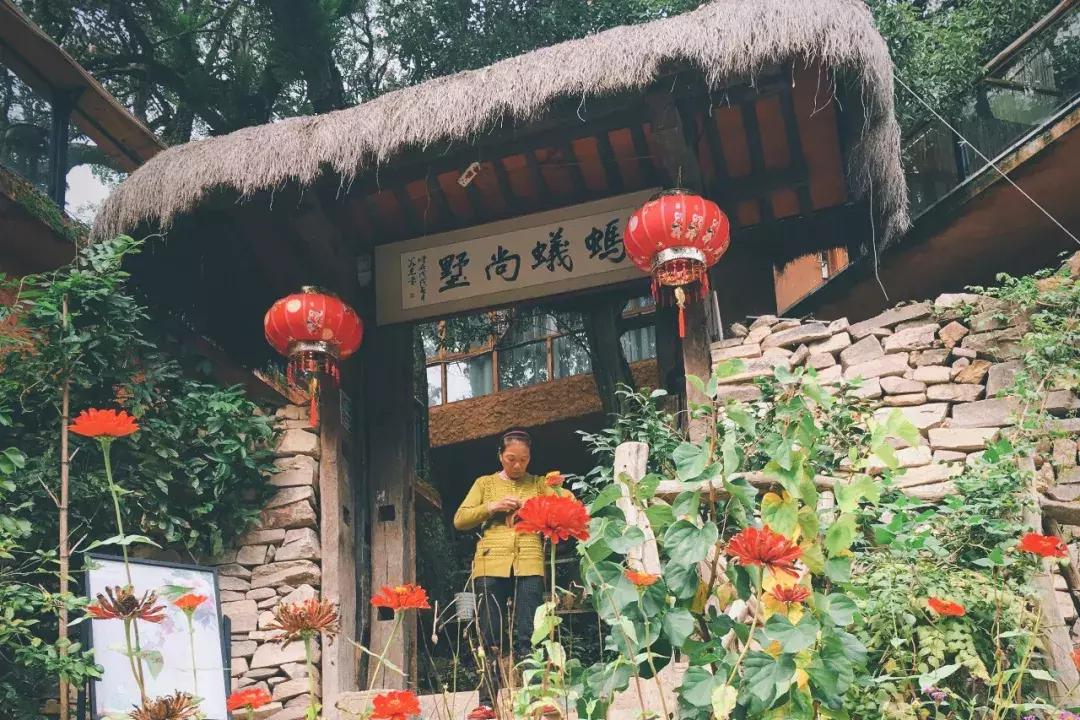 避世隐居生活的民宿,采菊东篱下悠然见南山的民宿