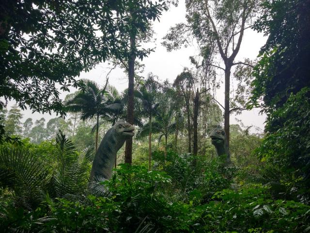 广州长隆野生动物世界二日游,广州长隆野生动物世界步行游览区