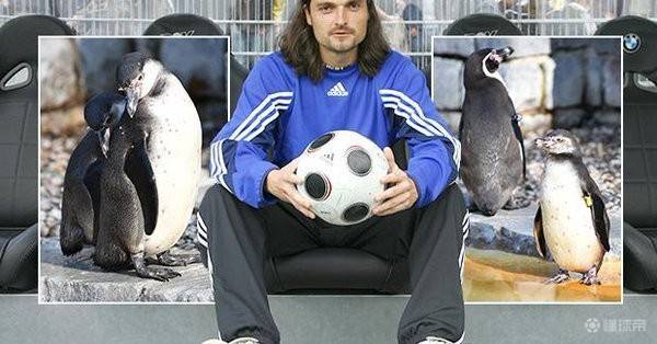 菲尔米诺现在的情况,菲尔米诺个人简介