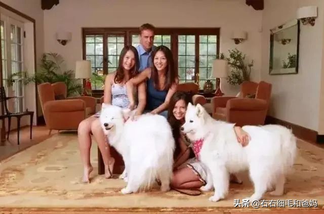 如何不吼不叫让孩子听话,五种方法教你不再吼孩子