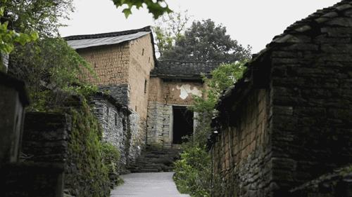 武大师兄弟复活湘西秘境，1块钱就能入股