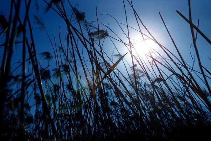 浮生若梦为欢几何经典句子,浮生若梦为欢几何怎样理解这句话