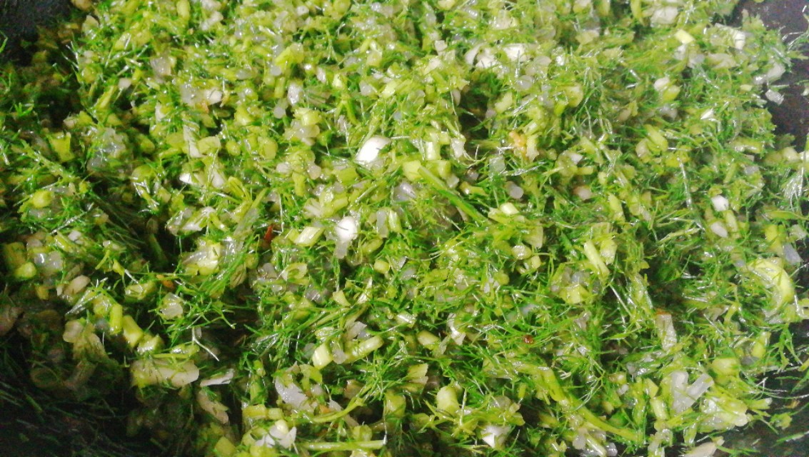 红星茴香馅儿的饺子最好吃的做法,烙盒子茴香馅怎么调好吃