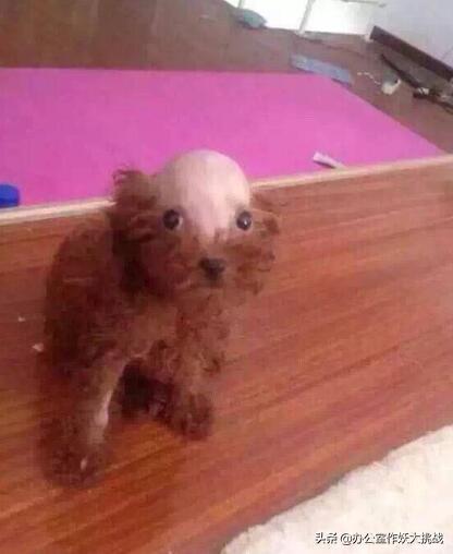 缃戣喘杩斿埄鎼炵瑧,鎼炵瑧璐墿杩斿埄