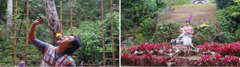 西双版纳原始森林门票,西双版纳所有景点门票一览表