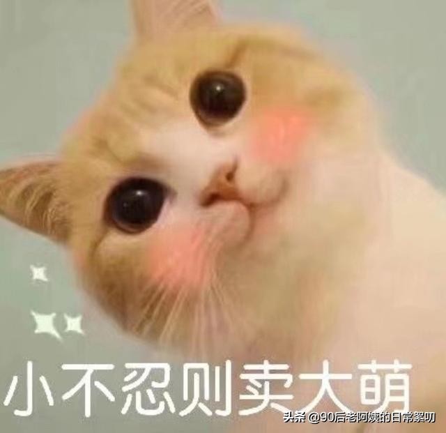 平价又好用的面膜推荐,良心推荐几款好用平价的面膜