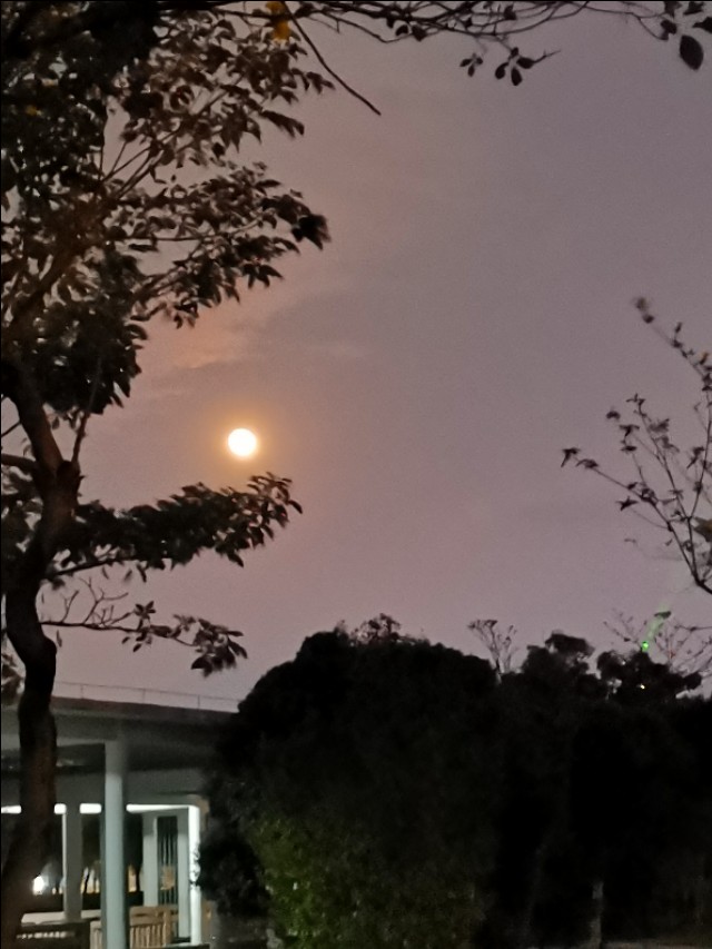 海上明月共潮生诗词,海上生明月诗词全文