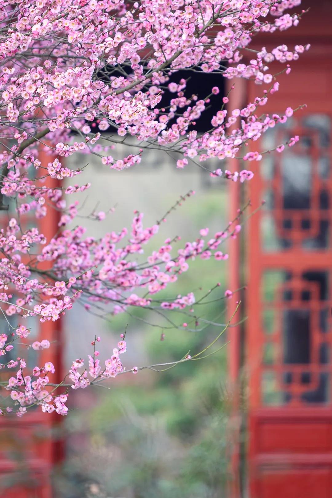 武汉的名字来自哪里,武汉的名字的历史