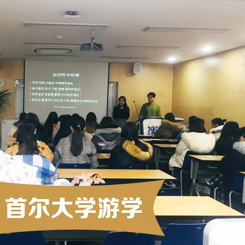 洋光外语小语种考级咋样,洋光的小语种培训靠谱吗