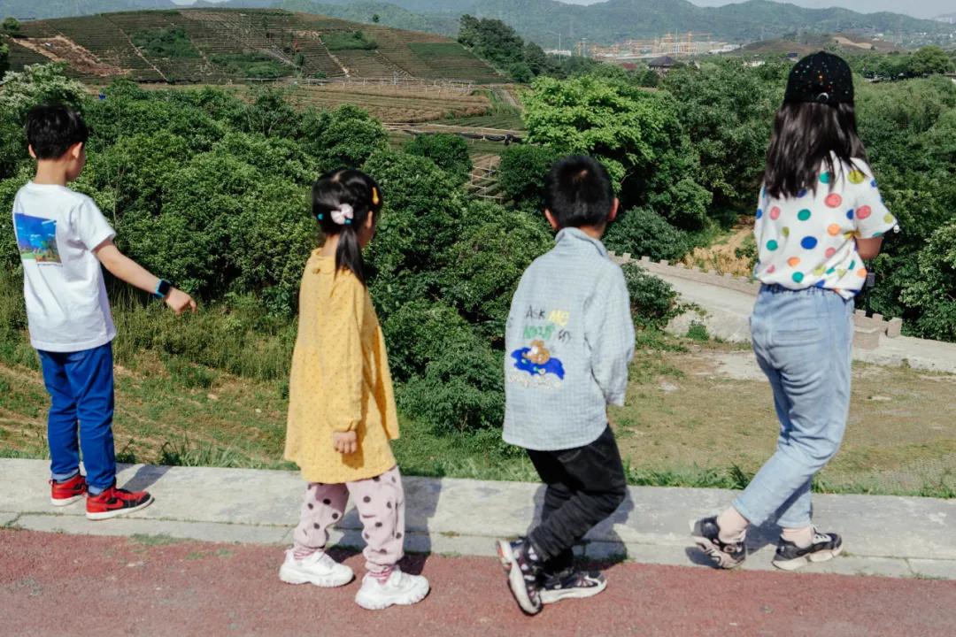 杭州百景｜龙坞，茶，太阳，酒，音乐