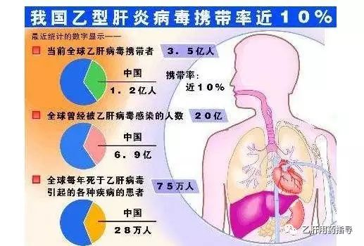 乙肝病毒携带者接近1个亿！还好这个新药获批了！预防只说这3点
