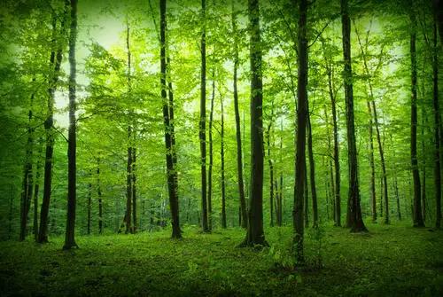 新型冠状病毒来袭你应该知道的,新型冠状病毒来了我们要注意什么