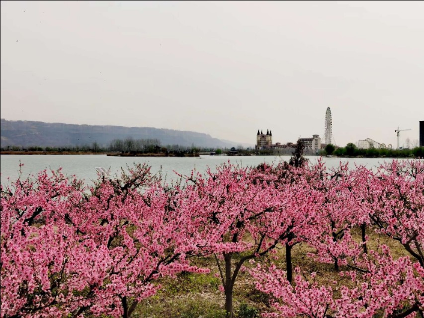 濞佹捣鑾辫尩灏忛晣,澶╂触鑾辫尩灏忛晣