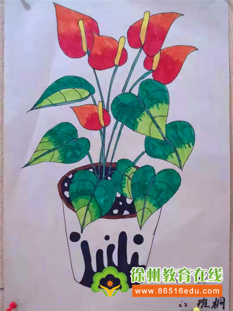 徐州华顿国际学校合肥校区,徐州华顿国际学校2022年春游