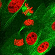100个科学小实验会动的图案,100个科学物理动态图