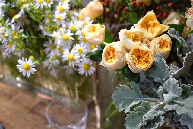 杨澜专访张艾嘉,杨澜采访张艾嘉