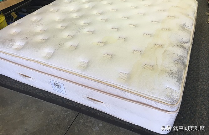 墙上顽固的霉菌怎么处理,怎么清除霉菌生活小妙招