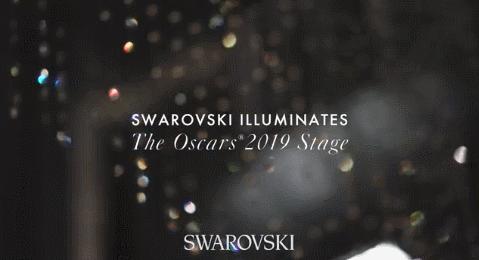 整箱梵克雅宝胸针,梵克雅宝胸针基本款