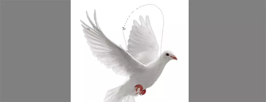 ps小猪怎么做,ps怎么合成驴子