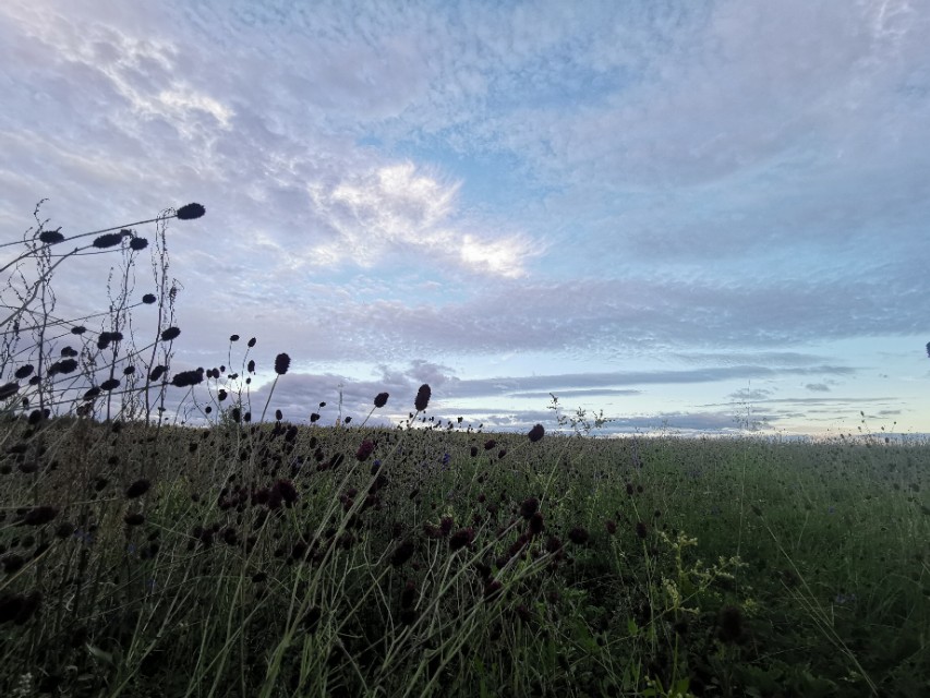 玩摩托车是怎样入坑的,摩托车入坑技巧视频