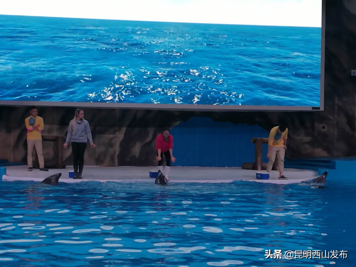 昆明融创文旅城冰雪世界,昆明融创冰雪世界攻略