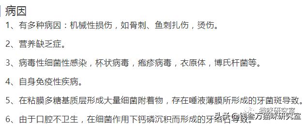 猫口炎的介绍,猫口炎病因