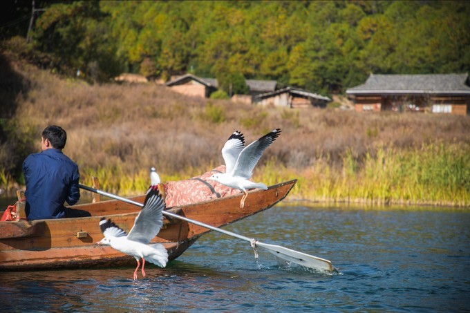 消失的地平线上的“香巴拉”和“女儿国”（二）