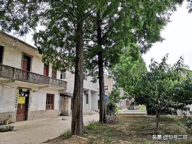 湖北省云梦县美丽乡村行,云梦伍洛美丽乡村