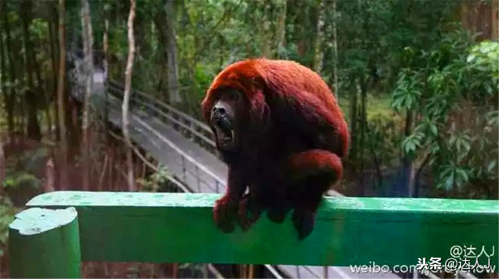 全国10大特色酒店,全国十大最具特色酒店