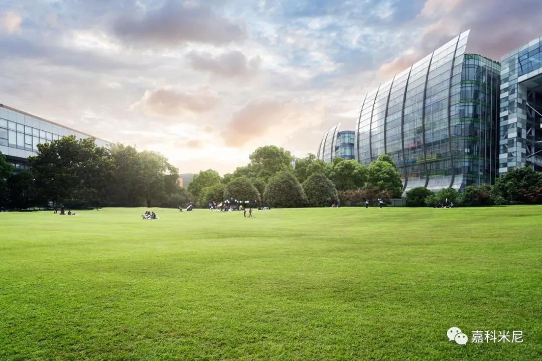 国际能源署最新消息,国际能源署发布数据