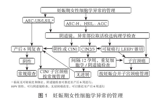 剖宫产手术专家共识,妊娠合并宫颈癌