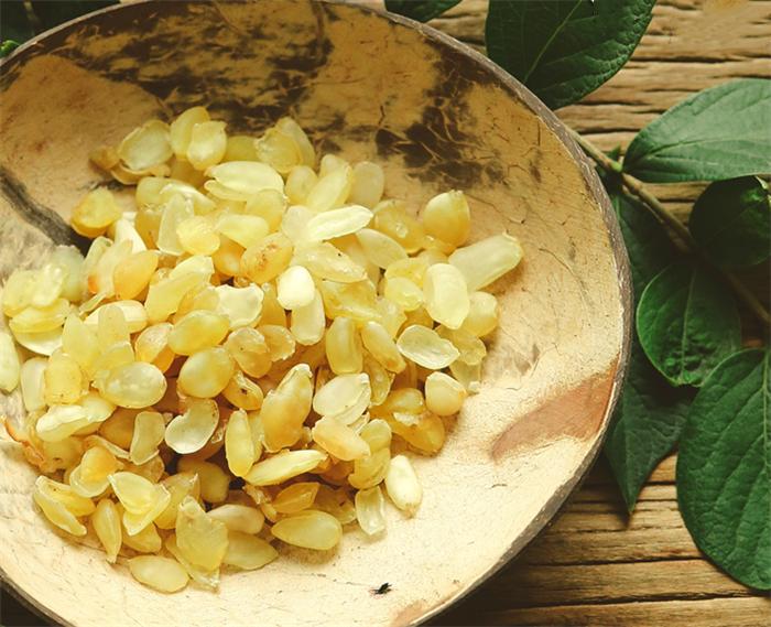 最有营养价值的树,这种树全身都是宝药用价值很高