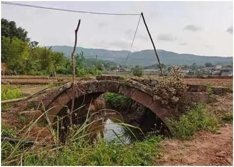 茶马古道全集版,茶马古道下集