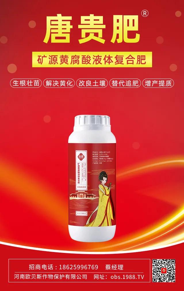 矿源黄腐酸钾水溶肥水产用,矿源黄腐酸钾复合肥肥效期